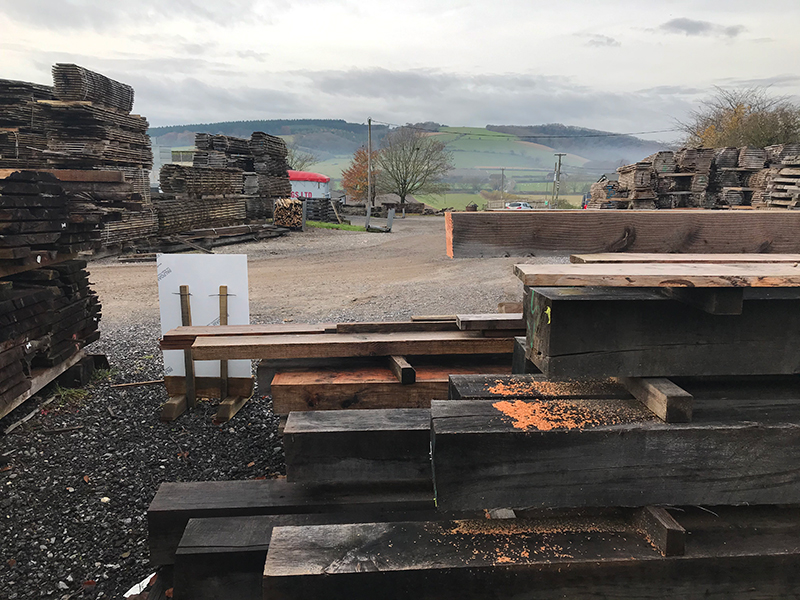 Orb bed. An Ash tree’s journey. Part one.